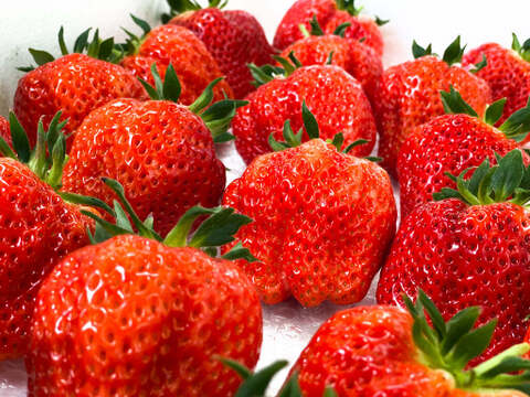 奇跡のいちご【ダイヤモンド越後姫 甘満の恵み】8粒  最上級品