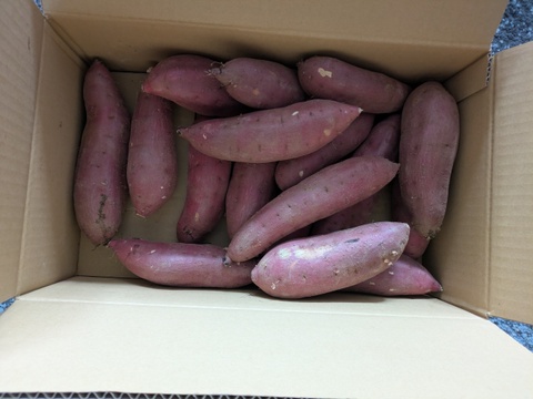 茂賀屋のさつま芋