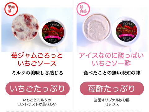 【夏ギフト】 果汁溢れるいちごアイス　選べる4種・シャーベット・ミルク・ソース・ソー酢※20056