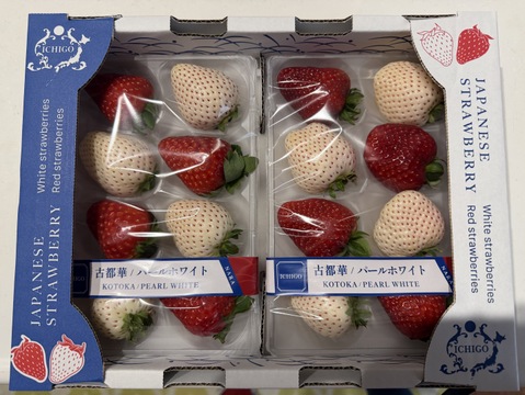 【いちご食べ比べ】奈良発☆赤イチゴと白イチゴ(パールホワイト・ゆきぼたん)の華やか2色ミックス