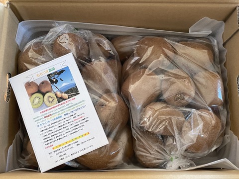 ビタミンたっぷりキウイふる～つ　家庭用Mサイズ４Ｋ【品種ヘイワード】