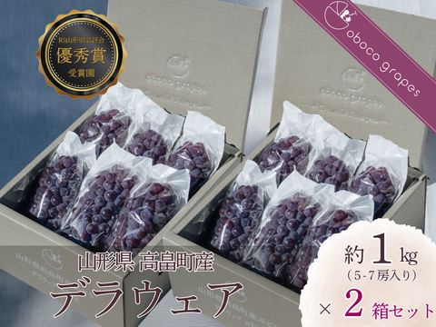 【2026年予約販売】甘さはじける！デラウェア1kg×２箱セット【お中元】