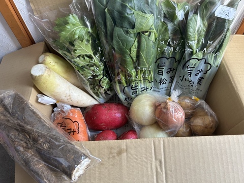 栄養価コンテスト10冠達成！旨み野菜セット【M】