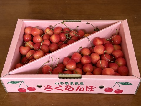 話題の新品種🍒〉〈山形新さくらんぼ〉やまがた紅王家庭用 L玉以上