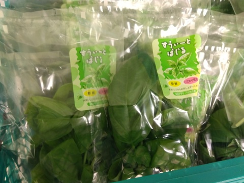 【工場直送！】埼玉県産フレッシュバジル500ｇ(15ｇ×35袋)
