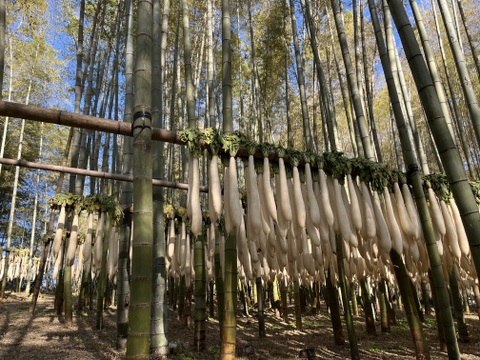 【珍しい太割りの干だいこん】大容量 100g×10袋  群馬県産 十文字大根の割干し