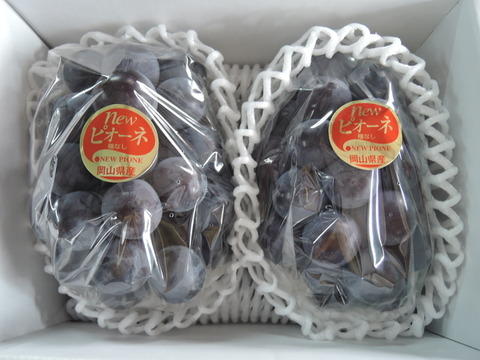 不揃い ニューピオーネ 2~3房1.2kg