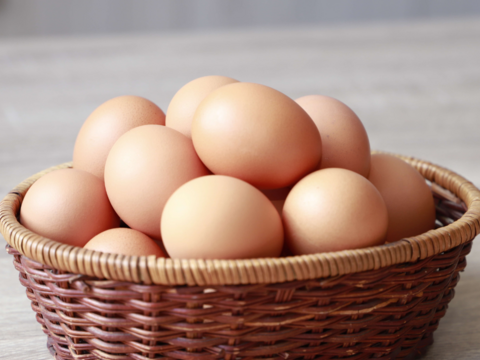 プリっと卵で栄養満点！！朝採りふるさと地たまご60個（破損補償10個含む） 食べチョク　通年冷蔵便【熨斗対応可】