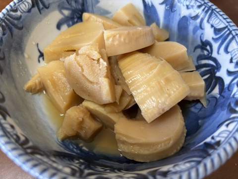 プロ管理竹林のやわらか春タケノコ（出雲産)