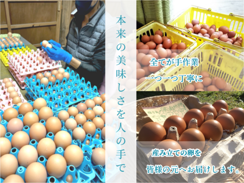 【ふわっとなめらか食感】✨種子島カステラ✨9個セット〜夢まるの平飼い卵で作った贅沢な逸品〜