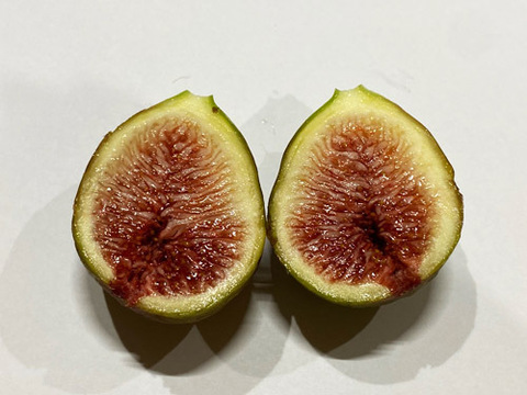 珍しいイチジク詰め合わせ　■バナーネ・ビオレソリエス・姫蓬莱■　600ｇ　甘くておいしい極上の美味しさ　農薬・化学肥料不使用　専用箱でお届けします