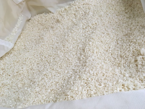 【特栽コシ100%の米糀】奥大山の米糀5kg