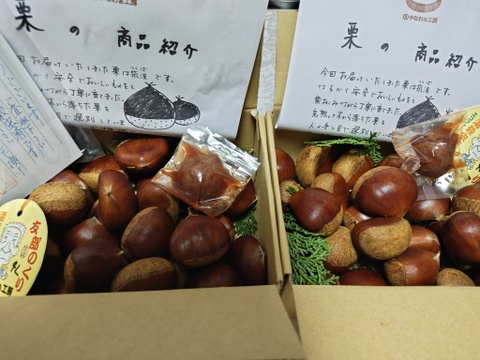 笠間の栗4Lサイズ×1kg（温湯殺虫済み）