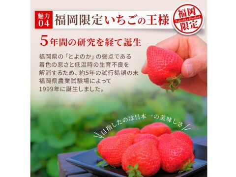 いちごの王様！あまおう苺 人気サイズ 270g×４パック デラックス等級【冬ギフト】