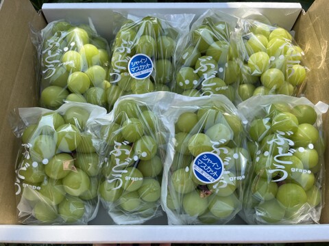 【福袋2025】人気で再販！気分はシャインマスカット食べ放題♪ 3kg箱たっぷり8房前後