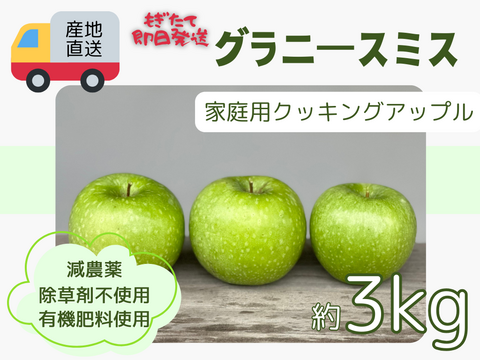 産地直送 アップルパイにオススメ クッキングアップル グラニースミス 3kg 訳あり ご家庭用 化学肥料及び除草剤不使用