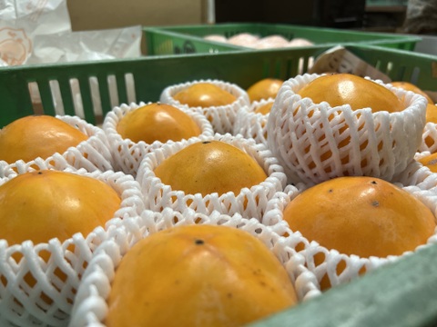 日本一甘い柿『花御所柿』3kg