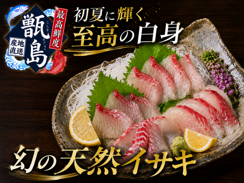 【白身の常識を覆す極上白身脂】初夏の限られた数週間しか出逢えない『幻の甑島天然イサキ』業界初パウダースノー冷凍最高鮮度🐟本格刺し盛りお試しキャンペーン約300g甑島ブランド【6月上中旬予約】