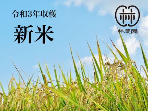 農薬不使用栽培・ヒノヒカリ白米15ｋｇ（令和5年10月収穫・未検査米）