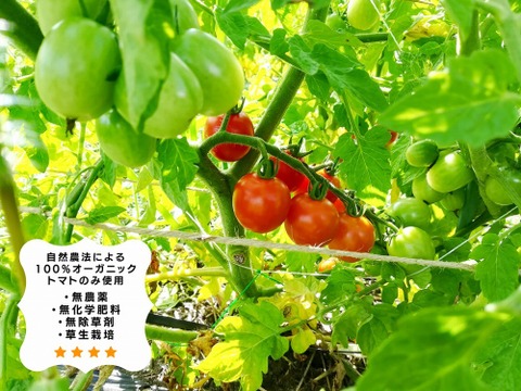 全ジュース飲み比べ　3種セット(自然農法の有機トマト100％)