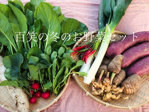 (単身者向け)未来へつなぐ 固定種・在来種 自然栽培野菜セット60サイズ　農薬不使用　有機肥料含む全ての肥料不使用