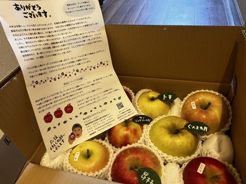 ★★大幅値下げ★★🍎【アワード受賞福袋】 【食べ比べ】(家庭用)5品種詰め合わせ🍎3キロ   おまかせ 商品ID171041 【冬ギフト】 りんご 青森 ミックス ギフト