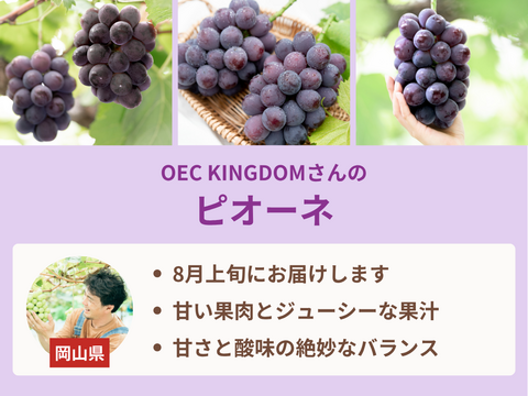 【食べチョク旬の食べ比べ便】ピオーネ