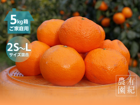 本物をお得に！ 木成り完熟🍊ご家庭用 有田みかん【サイズ混合・5kg箱】