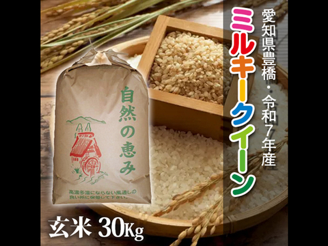 【節減対象農薬6割減】ミルキークイーン 玄米30g【令和7年・愛知県産】
