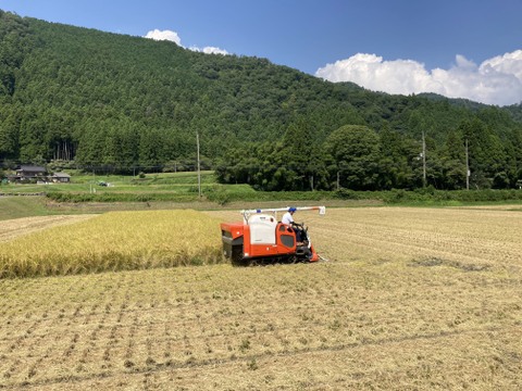 滋賀県高島市朽木産　令和6年産　こしひかり100％　5㎏