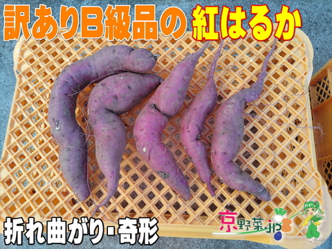 訳あり紅はるか(京都産) 家庭用 B級品 傷物 変形 虫食い 病斑など