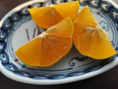 数量限定！希少品種の赤れもん(３kg)✿果皮や果肉が赤い珍しい国産レモンです🍋