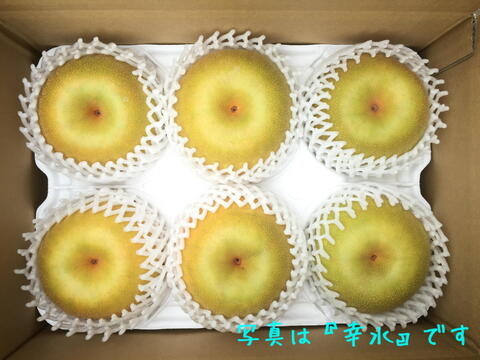 進化した二十世紀梨！　千葉県産【スーパー二十世紀 - 瑞鳥】3㎏『5～8玉入』　市川のなし・フルーツキャップ個装