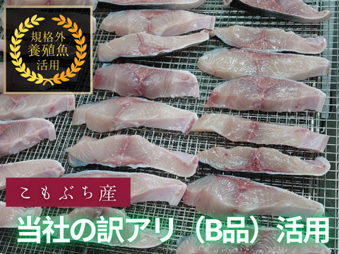 【旨味詰まった冷凍商品】規格外養殖ブリヒラカマの一夜干し！5個/箱