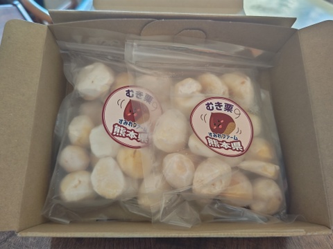 ほっこり甘さ凝縮！『冷凍むき栗』熊本県和栗 （250ｇ×2パック）５００ｇ箱入り