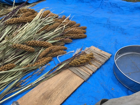 ダイエットや、健康志向の方に！自然栽培　雑穀米ブレンド　５００g