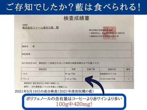 おかげ野菜の料理塩と鈴木さん家のおわん麩 2食入 伊勢志摩産食用藍と水耕栽培野菜のお出汁と豊川産おわん麩のコラボ！ 化学調味料不使用！