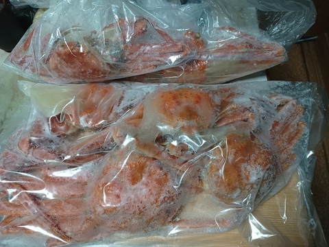 たまらない旨さ✨本ズワイガニ~人気でお得な浜茹で1.5Kgセット~