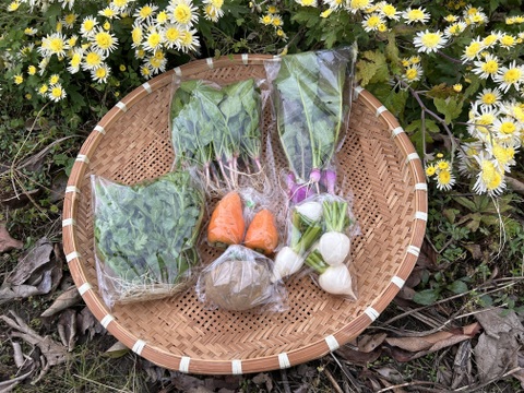 【自然栽培】6品目お試し旬のお野菜セット