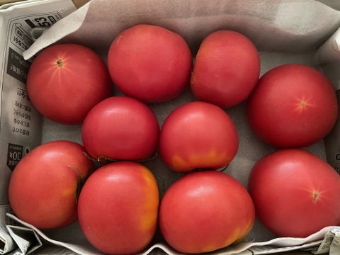 お試し】ずっしり❗️ジューシー❗️朝採り完熟トマト(規格外)：長野県