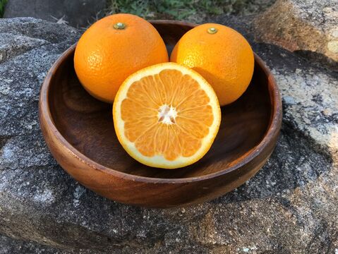 【農薬不使用】　八朔　5㎏