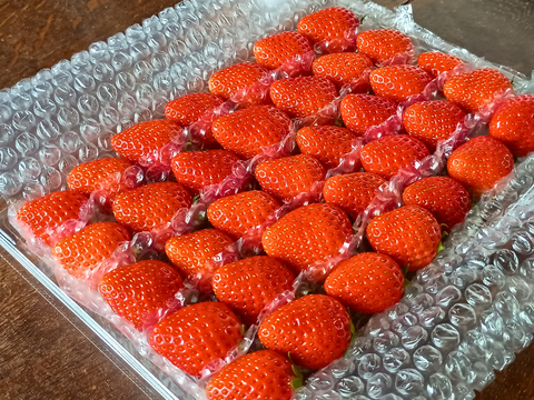 【春限定】よつぼしお楽しみパック【朝づみ直送】約450g