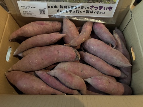 【熟成1か月超でお届け】富山県産 紅はるか 10kg 大きさ無選別