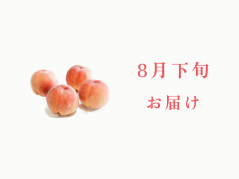 【8月下旬発送】桃好き必見！桃のリレーが楽しめる！季節の【桃】おうち用（もも）お試しセット 約4kg 約10~12玉