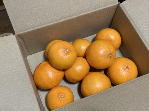 「せとか」ご家庭用　M~2Lサイズ大小混合　2kg（箱込み）