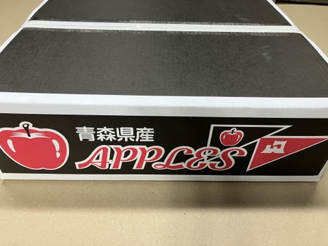 【販売開始！！贈答用】 青森県産りんご「ぐんま名月」 約5kg【光センサー選果】【冬ギフト】