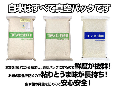 【定番人気】令和6年産新潟県長岡産コシヒカリ白米20kg（5㎏×4袋）