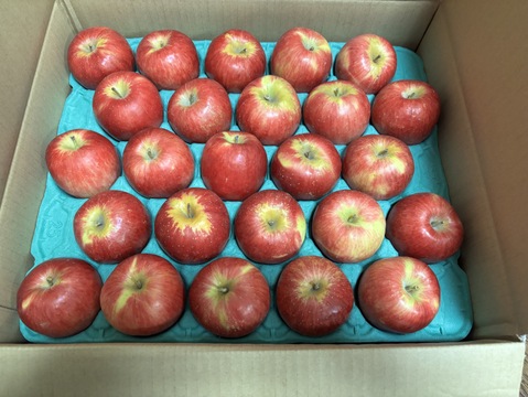 多いので3週間から1ヶ月くらい楽しめます🍎小玉  奥州ロマン 5キロ箱 20玉から33玉 ガサガサあり ID17111 長野 信州 安曇野 リンゴ 幻 幻のリンゴ  希少  甘い