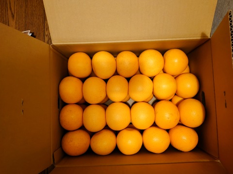 【福袋】和歌山県産【特別栽培】【極ウマ糖度13.2度】　八朔(箱込み10kg)Sサイズ