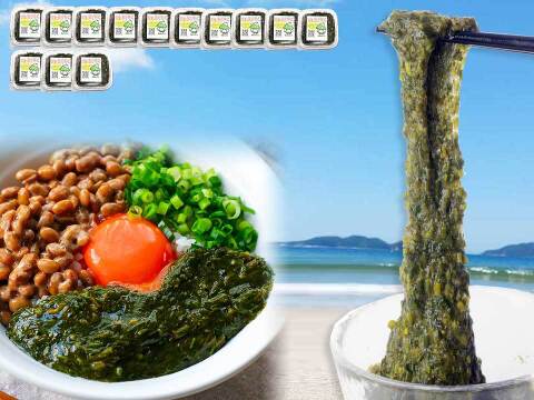 【食欲の秋は、あかもくで決まり！】人気No.1 規格外のネバリ 宗像のあかもく１３個